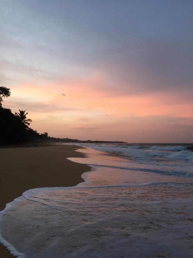 Jungle Bluff Beach Paradise - Jungle House Bocas del Toro Exterior photo