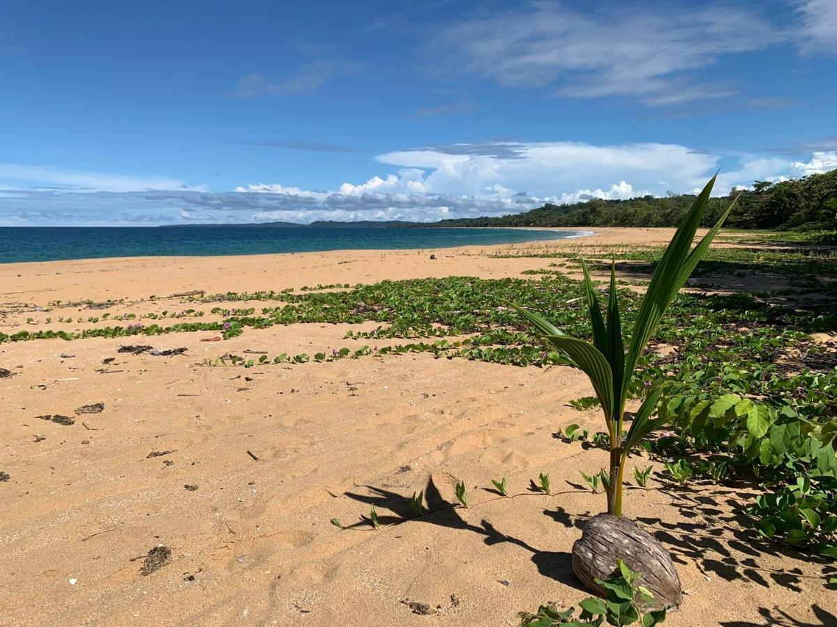 Jungle Bluff Beach Paradise - Jungle House Bocas del Toro Exterior photo