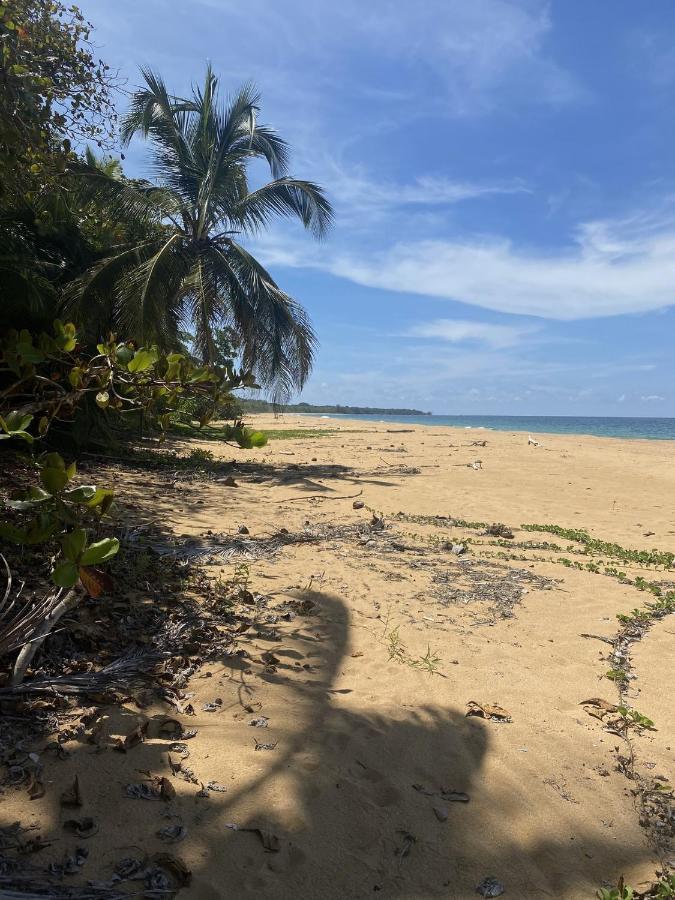 Jungle Bluff Beach Paradise - Jungle House Bocas del Toro Exterior photo